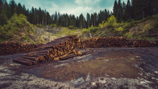 Humans use around 72% of the world’s ice-free land surface, the IPCC concluded